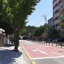 연동초등학교정문 이미지