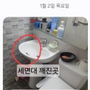 두미포로 이미지