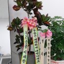구동건세무회계 이미지