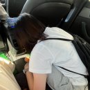 새천일약국 이미지