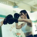 짐타운 이미지