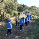 남정농장 이미지