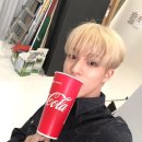 젠솔 이미지