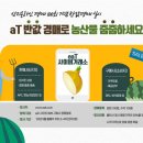 반값 이미지