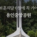 용인중앙공원_M 이미지