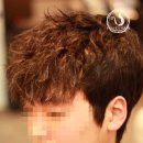 스왈로