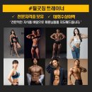 필굿짐 이미지