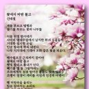 꽃에서 바람 불고 - 신대철 이미지