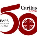 카리타스 이미지