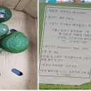 주식회사 이프레시 이미지