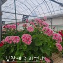 영미네공방