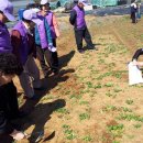 구로-구로-구로-2613 이미지