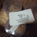 볼몽지엥 이미지