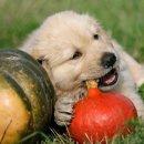 서교동물병원 이미지