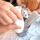 정원로 | 강릉 삼계탕 맛집 지호한방삼계탕 강릉점, 말복에 또 먹은 내돈내산 솔직후기