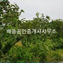 대전리목장 이미지