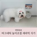 헤이두부 | 강아지 세라믹 식기 추천, 헤이픽 마그네틱 식기 사용 후기