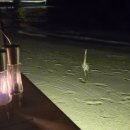 오션컴퍼스 이미지