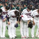 "女 접대부도 있었다" WBC 대표팀, 경기 전날 밤샘 술판 논란 이미지