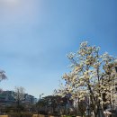 명서캘리그라피 이미지