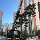 수원-1324 | 수원 동탄 포장이사 ‘으랏차차’ 내돈내산 후기