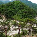 여름 인기 휴가지 여름계곡 경상북도 울진 불영계곡을 소개합니다(2030산악회) 이미지
