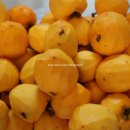 하민농장 이미지