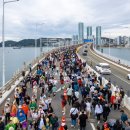 남항대교 하부 이미지