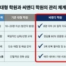 메타씨앤디