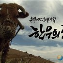 한우의 꿈 이미지