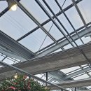 카멜리아한의원 이미지