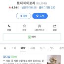 로지마이포지 이미지