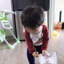 세탁합시다 이미지