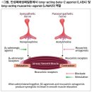 국내 첫 LABA 및 LAMA 복합 기관지확장제 이미지