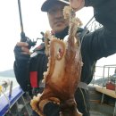 왕쭈꾸미 이미지