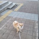 청솔로9구지점 네이버블로그