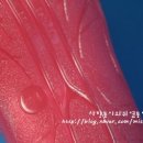 트래드후스신세계백화점 이미지