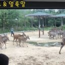 오-월드 이미지