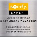 봄윈도우스토리.세사리빙() 네이버블로그