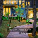 스테이포레스트 이미지