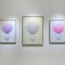 담다갤러리 이미지