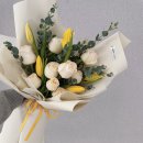 화원유치원 이미지