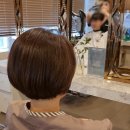 컷트에더하다