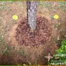 생활속의 조경이야기 이미지