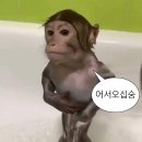 n. 임신 후기 베이비페어 찐막 방문 후 아기용품 막바지 정리💗