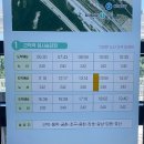 강원도개발공사 숙소 | 바닷속 탐험 강원도 스쿠버다이빙 바다 다이빙 체험 후기 바다의 꿈