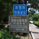 창원 내동패총 이미지