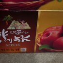 능금 이미지