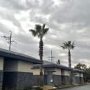 소랑 | 바베큐 쿠폰 제공] 하와이에 온 것 같은 제주도 숙소, 온수풀 수영장 바베큐장 조식 풀빌라소랑 솔직 후기