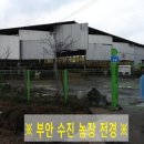 수진농장 이미지